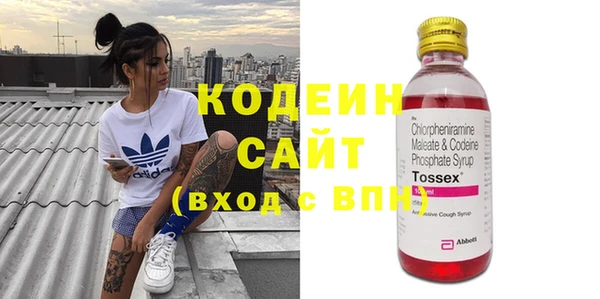 индика Ачинск
