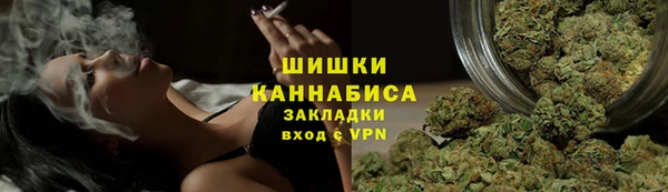 PSILOCYBIN Верхний Тагил