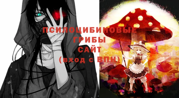 эйфоретик Надым
