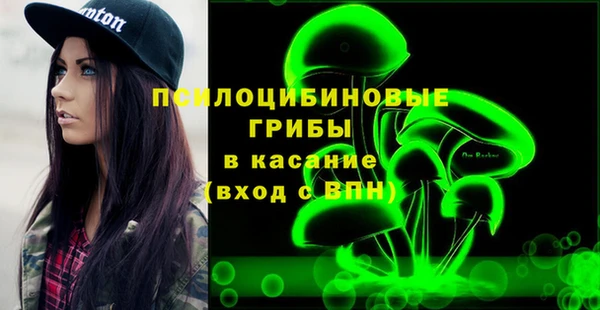 PSILOCYBIN Верхний Тагил