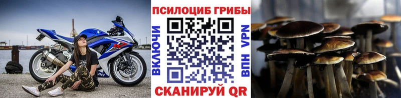 blacksprut зеркало  где найти   Чишмы  Галлюциногенные грибы MAGIC MUSHROOMS 
